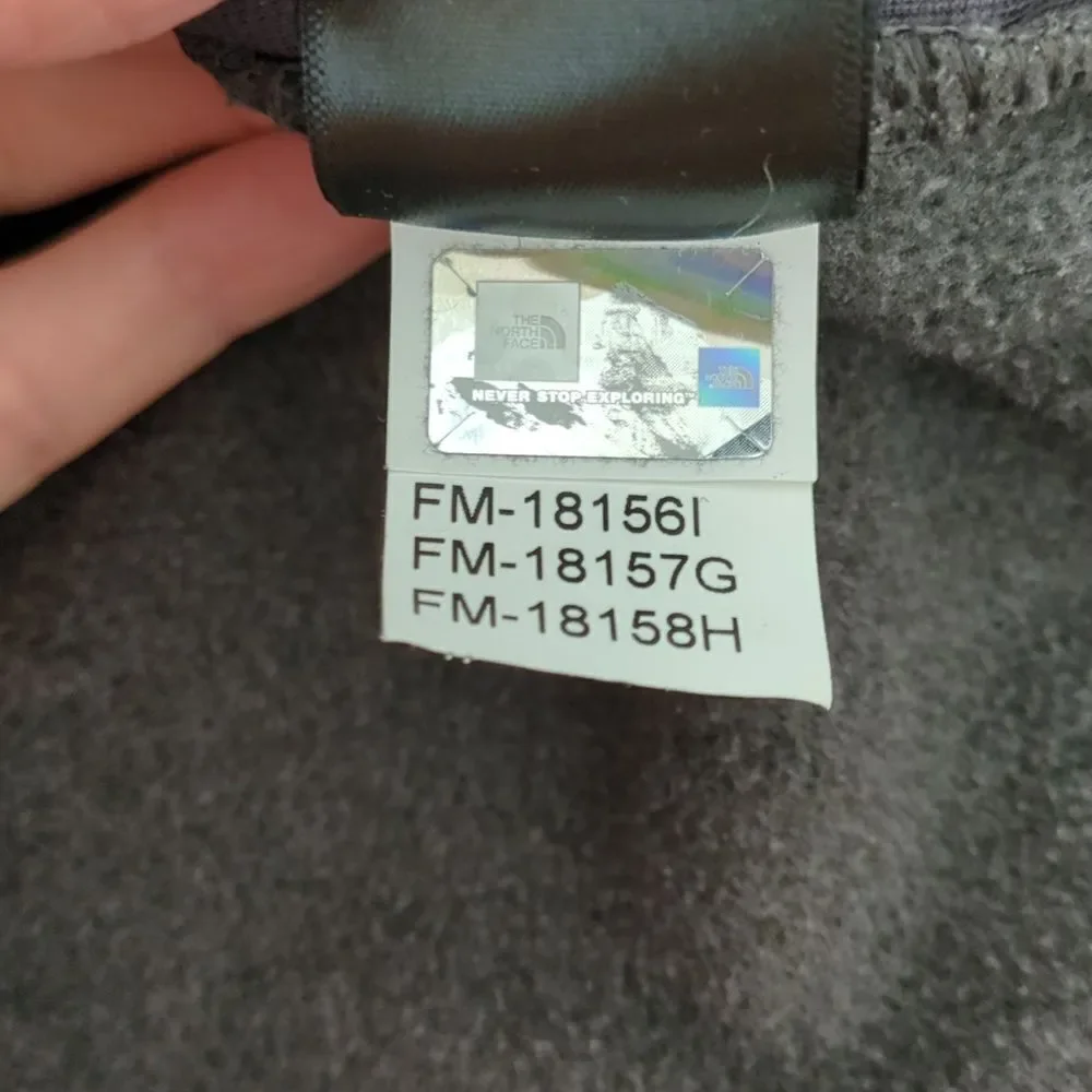 Men's fleece North Face